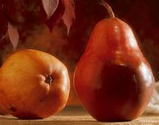 Bidfood Equipment