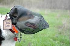 Protective Hood